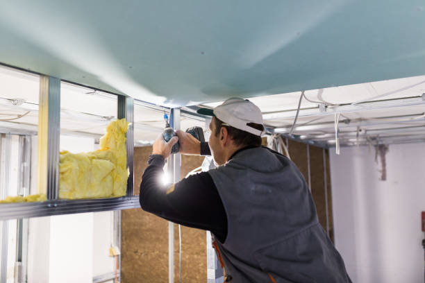 Best Residential Insulation in Maysville, MO