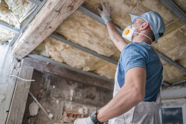Best Spray Foam Insulation in Maysville, MO