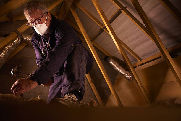Professional Insulation Contractor in Maysville, MO