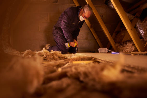 Best Eco-Friendly Insulation in Maysville, MO